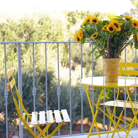 Sofia Bed and Breakfast