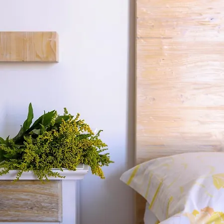 Frühstückspension Sofia