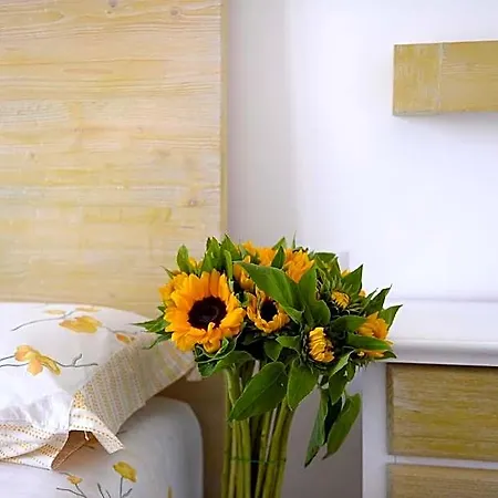 Bed and breakfast Sofia