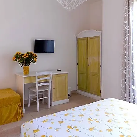Sofia