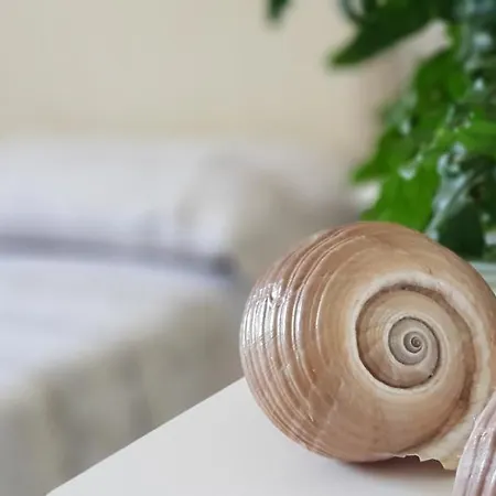 Bed and Breakfast Sofia