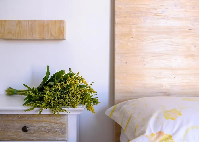 Bed & Breakfast Sofia