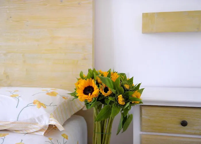 Sofia 切萨雷奥港